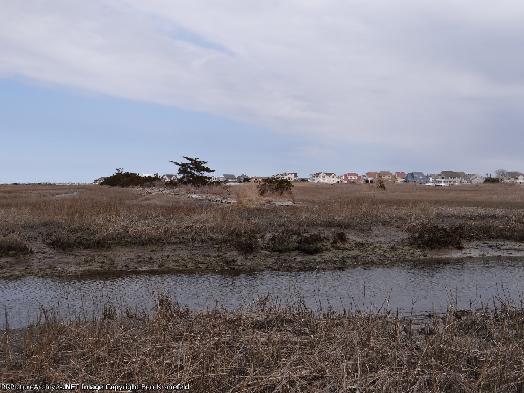Cold Spring Harbor Loop