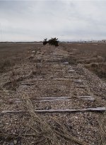 Cold Spring Harbor Loop