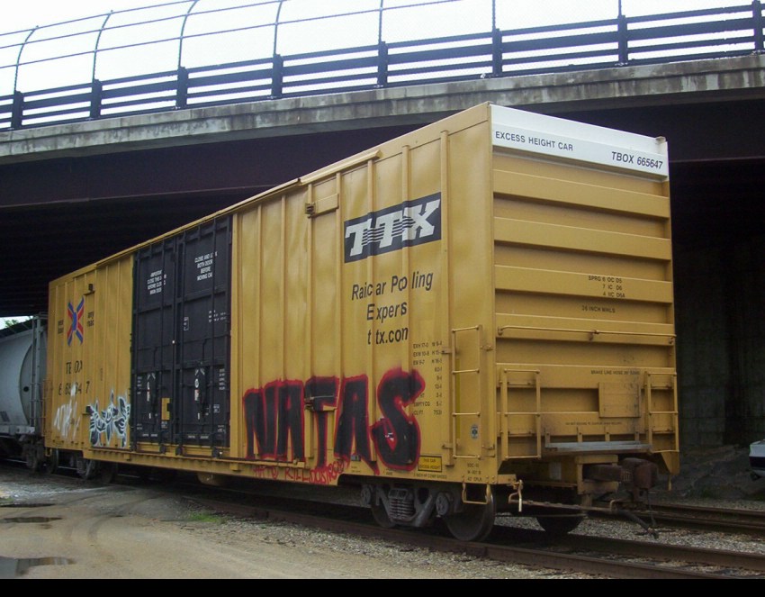 TBOX 665647