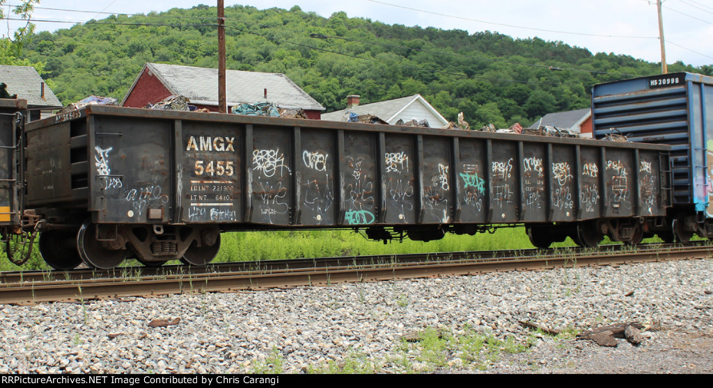AMGX 5455
