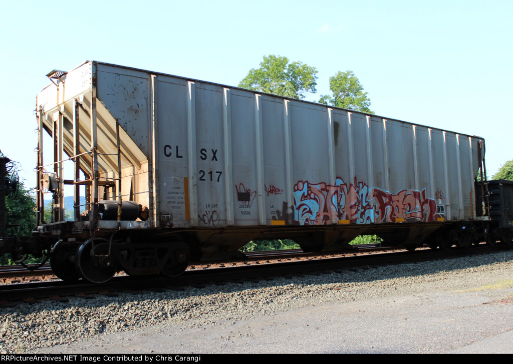 CLSX 217