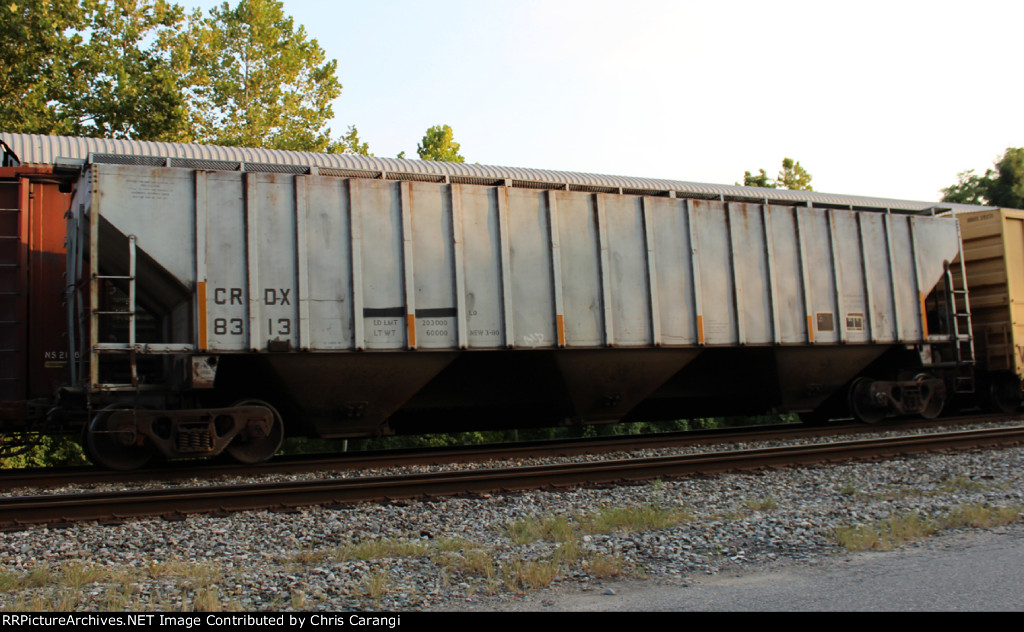 CRDX 8313