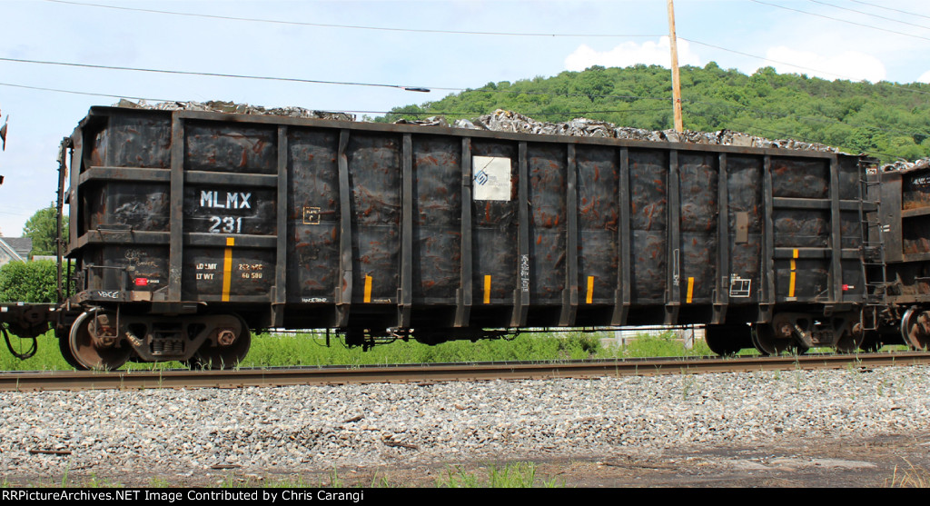 MLMX 231