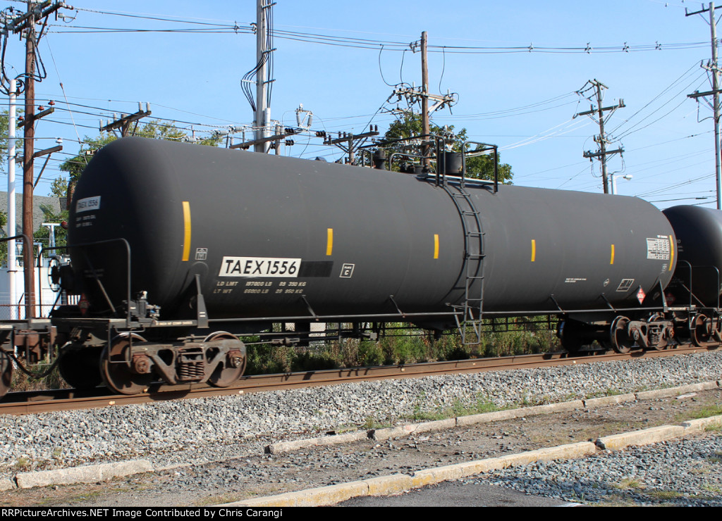 TAEX 1556