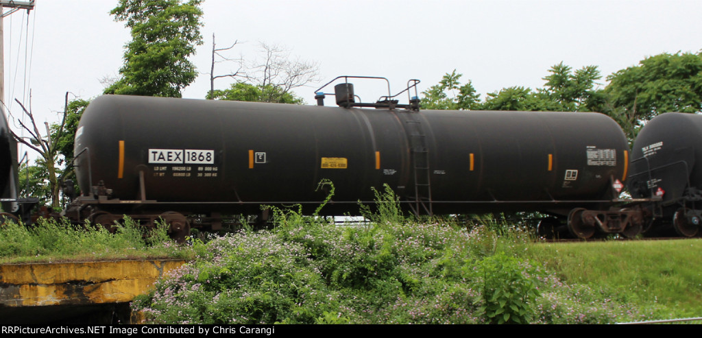 TAEX 1868