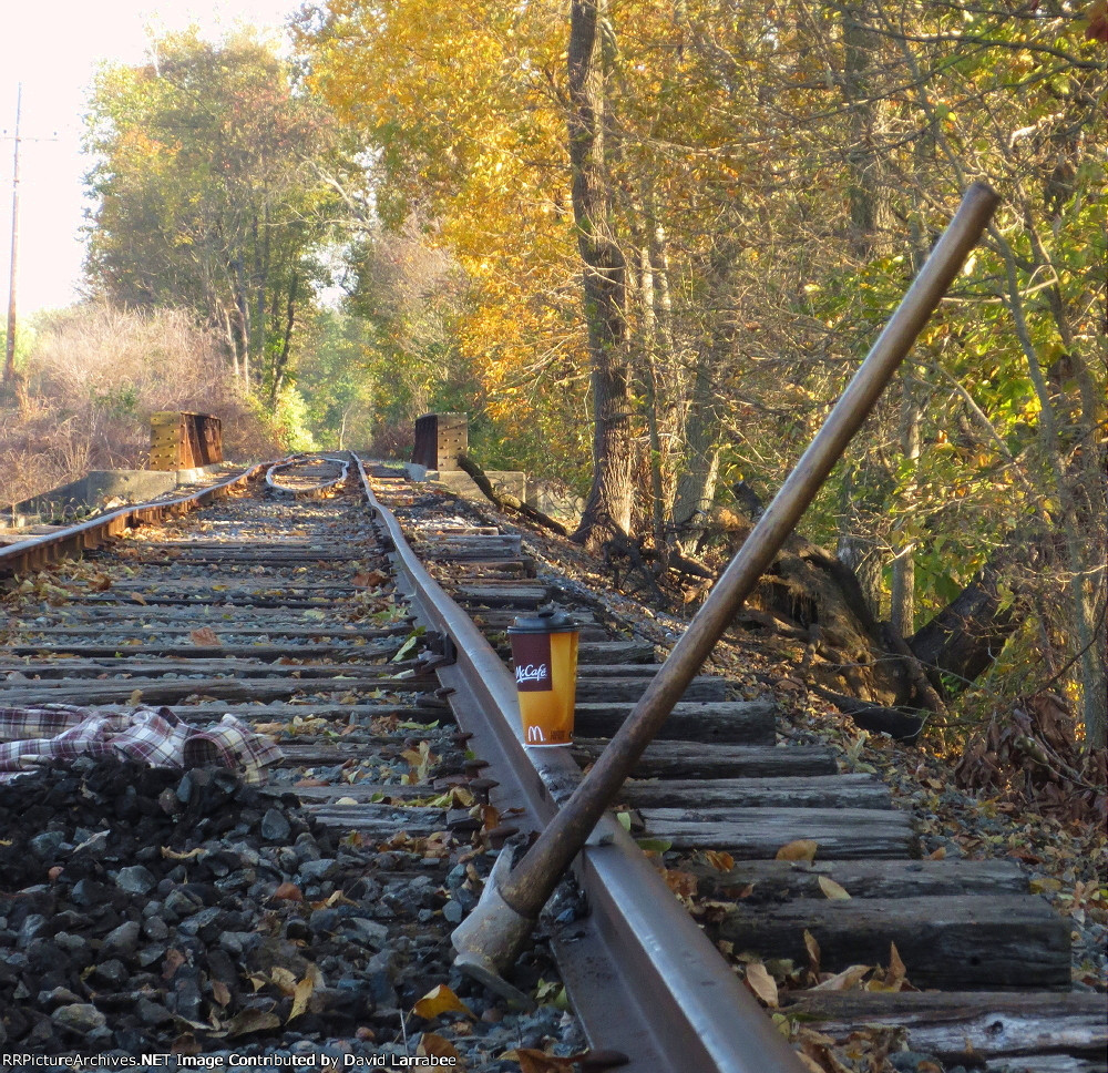 Fall on the Southend