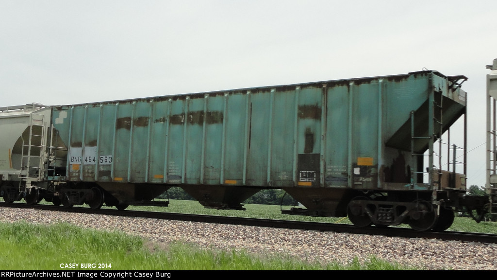 BNG 464563