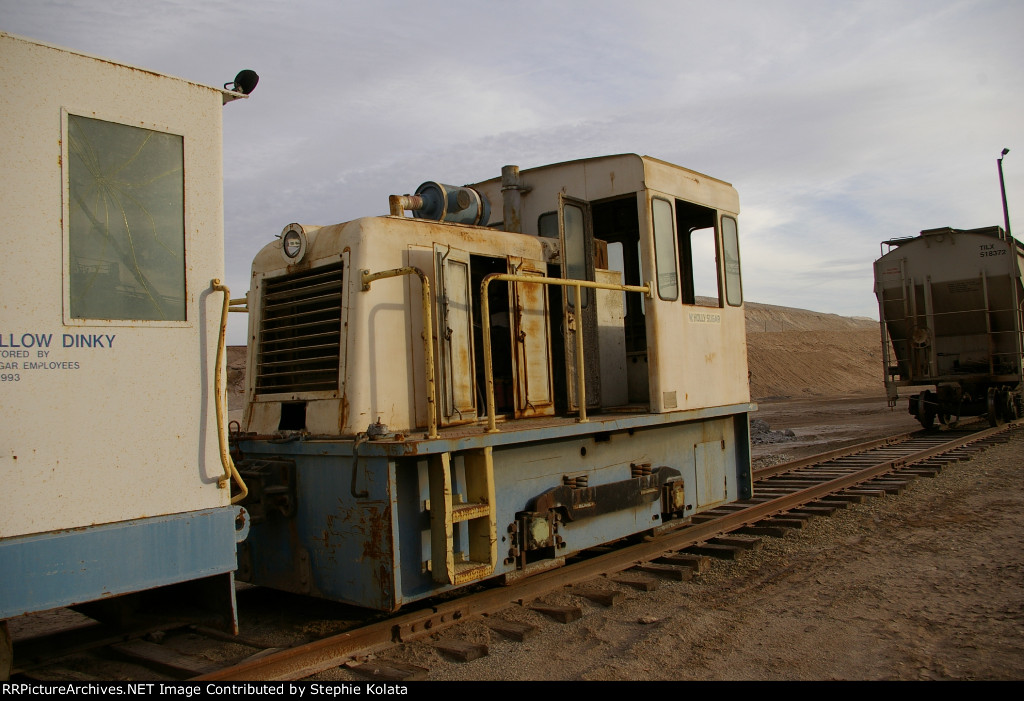 SPRECKLES SUGAR HOLLY SUGAR