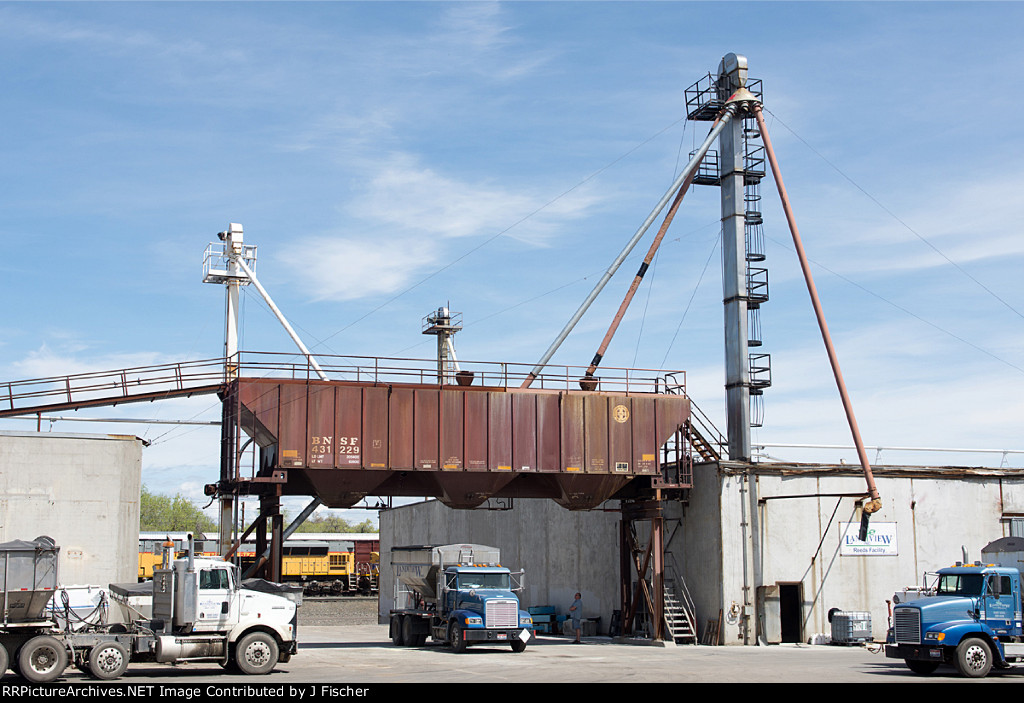 BNSF 431229
