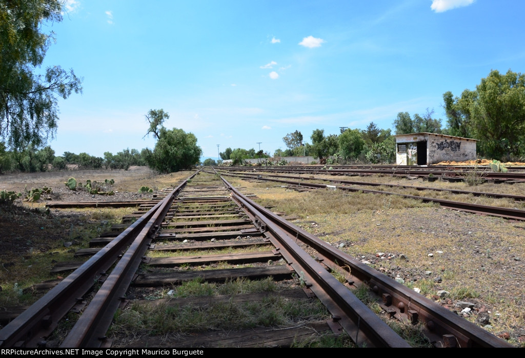 Tepa abandoned rail tracks