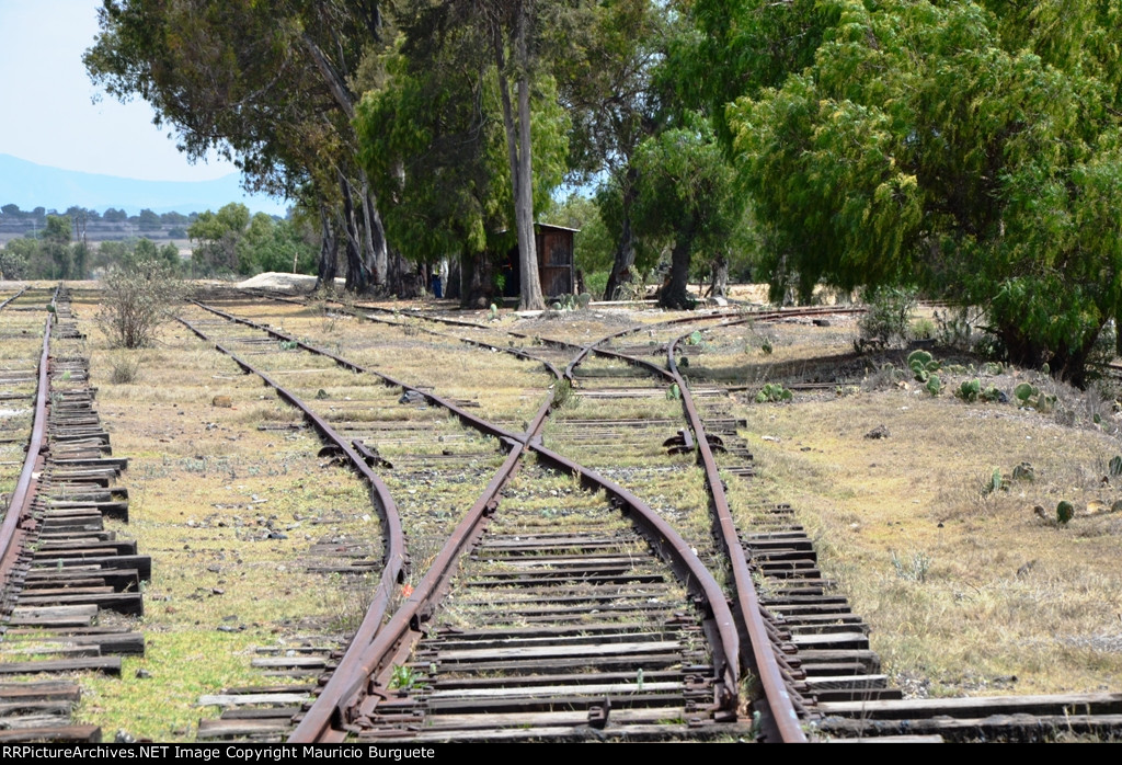 Tepa abandoned rail tracks