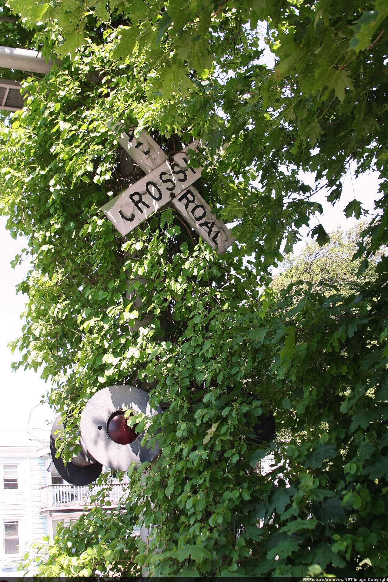 Crossbuck Vegetation
