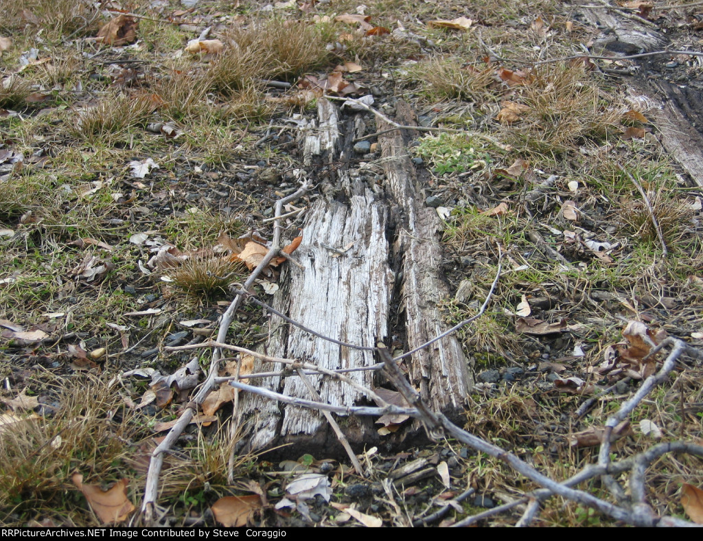 Holds Up To Mother Nature