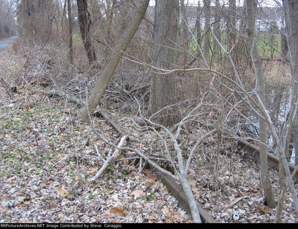 Want to be Useful Again