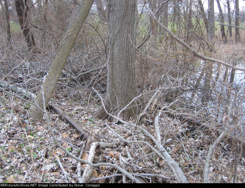 Clear Off The Debris!!!!!!