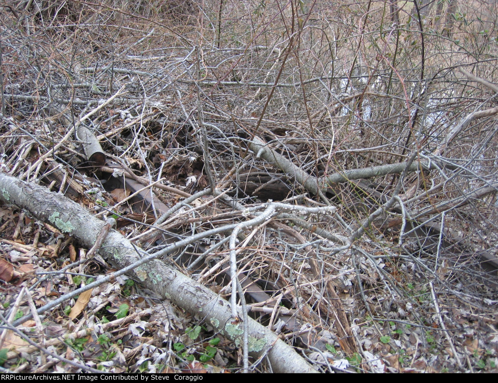 No Trains Can Run On This Track