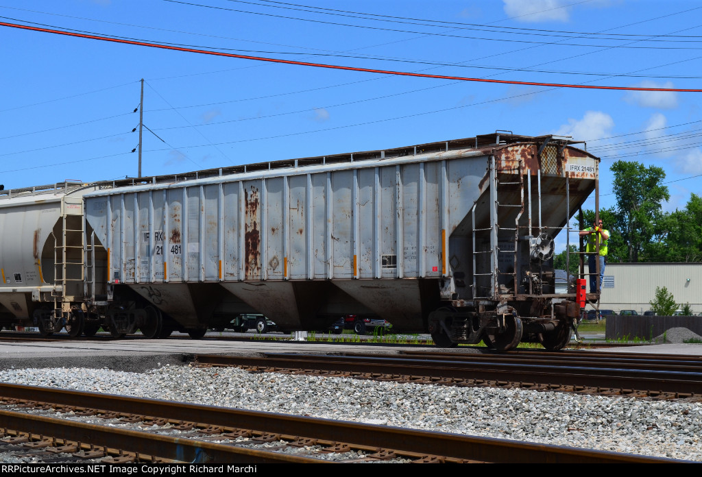 IFRX 21481