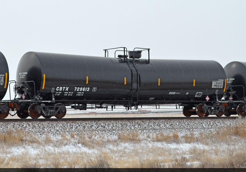CBTX 729613