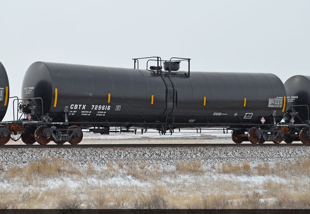 CBTX 729616
