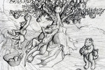 Drubu_tree