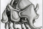 Mite