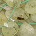 Green Tourmilated Quartz