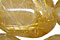 Rutilated Quartz
