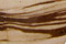 Brown Zebra Jasper