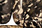 Black Silver Leaf