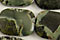 Green Conglomerate Jasper