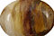 Madagascar Petrified Wood