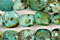 African Turquoise