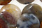 Rainbow Crazy Lace Agate