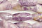 Lapidalite Jasper