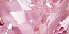 Pink Peony