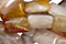 Brown Flower Agate