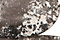 Black Plume Agate