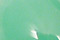 Chrysoprase