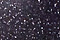 Blue Goldstone