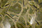 African Green Jasper