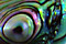 Abalone