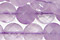 Cape Amethyst