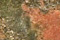 Unakite