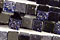 Blue Goldstone