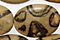 Madagascar Leopardskin