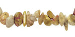 Fossil Coral Chips