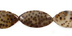 Palm Jasper Horse Eye 20-25x12-14mm