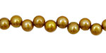 Gold Dancing Button 6-6.5mm