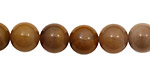 Brazil Petrified Wood Round 10mm