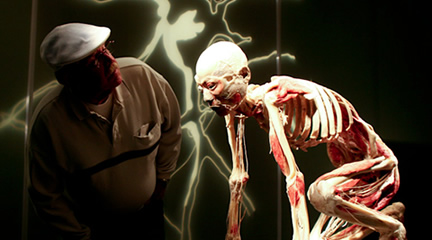 Bodies Revealed